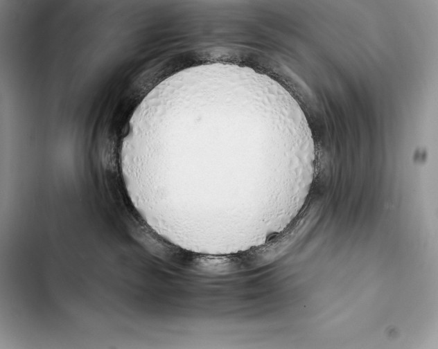 X0000103500189200810031636