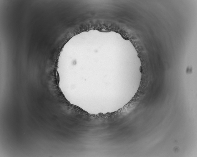 X0000103500192200810031636