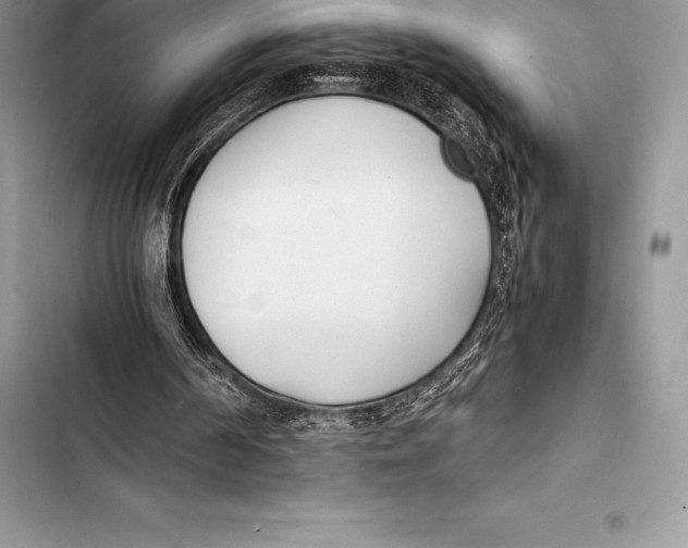 X0000103500194200810031635