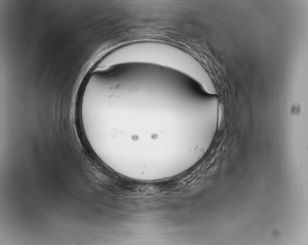 X0000103500195200810031635