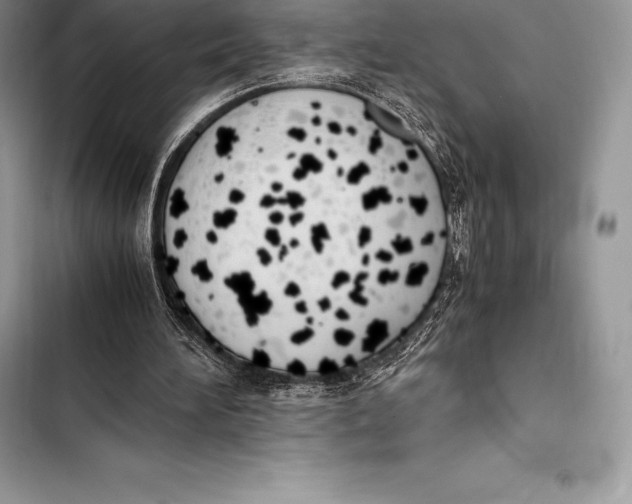 X0000103500196200810031635