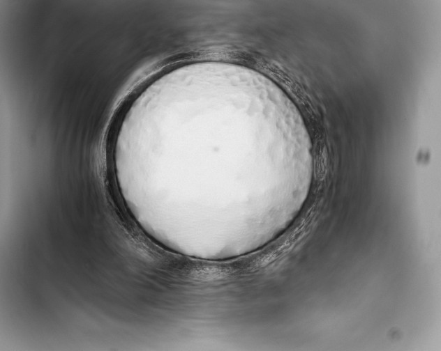 X0000103500198200810031635