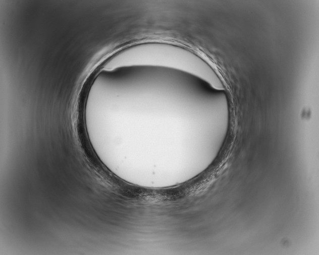 X0000103500199200810031635