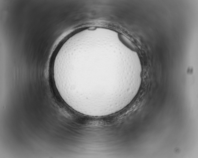 X0000103500200200810031635