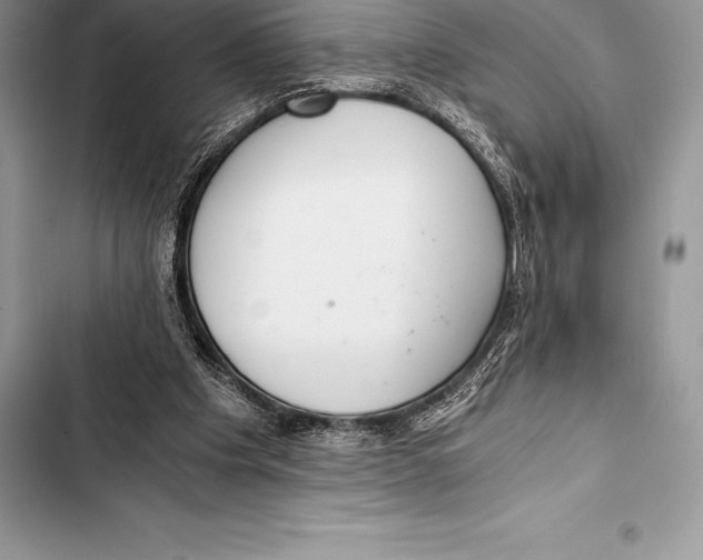 X0000103500201200810031635