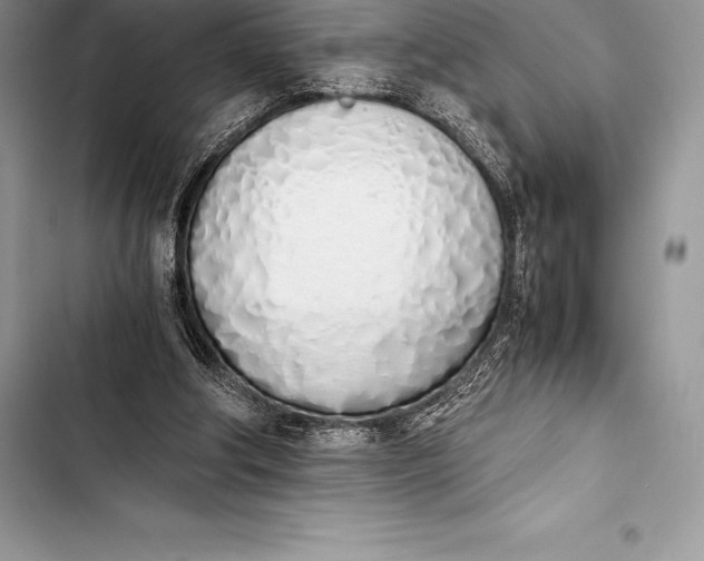 X0000103500202200810031635