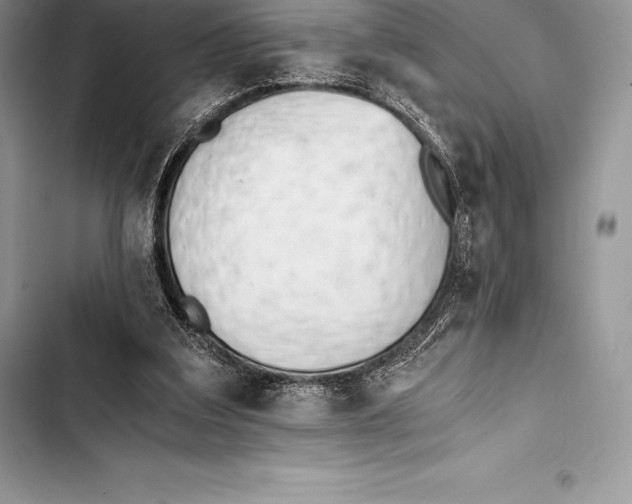 X0000103500203200810031635