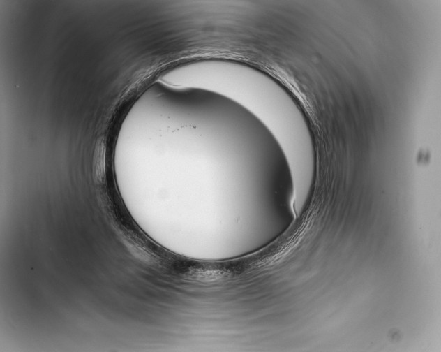 X0000103500205200810031635