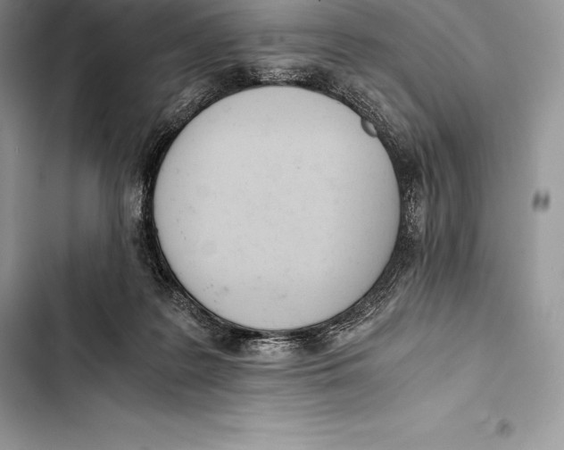 X0000103500219200810031635