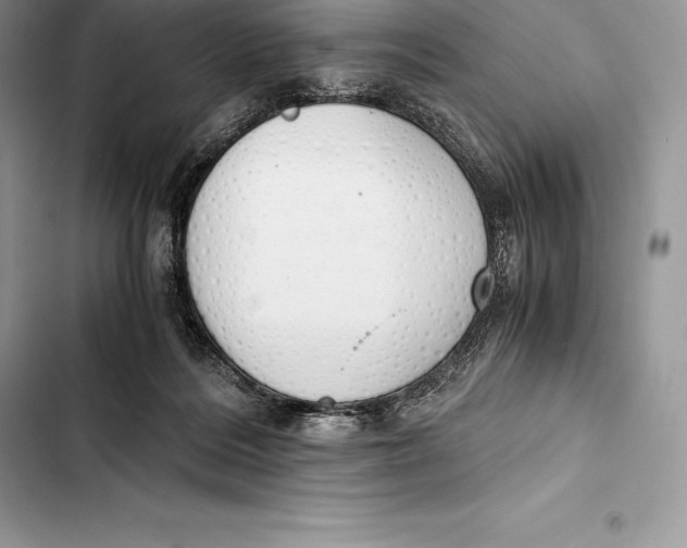 X0000103500220200810031635