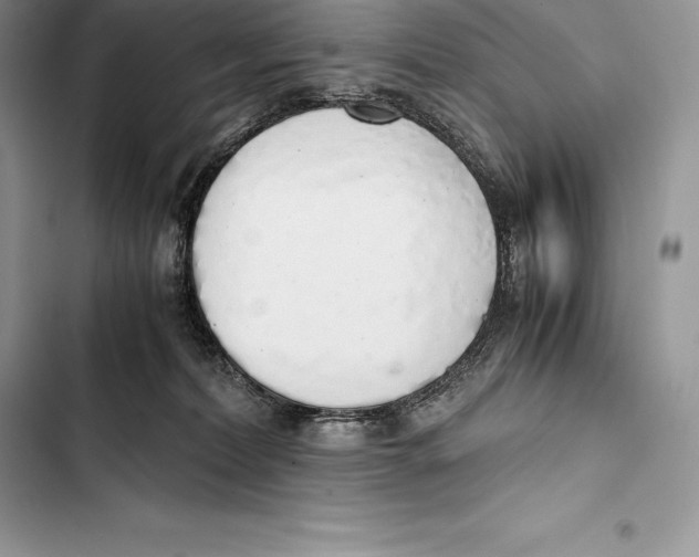 X0000103500228200810031635