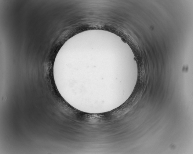 X0000103500229200810031635