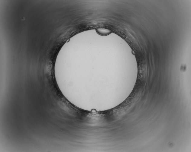 X0000103500231200810031635