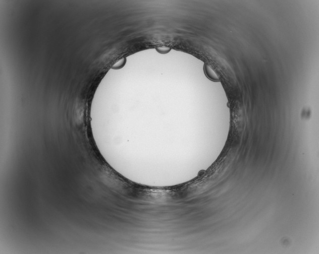 X0000103500233200810031635