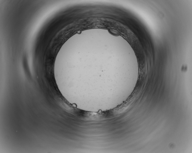 X0000103500239200810031635