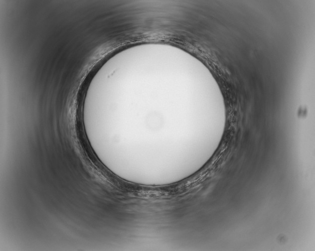 X0000103500242200810031634