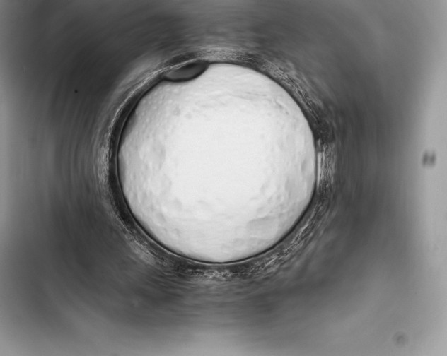 X0000103500243200810031634