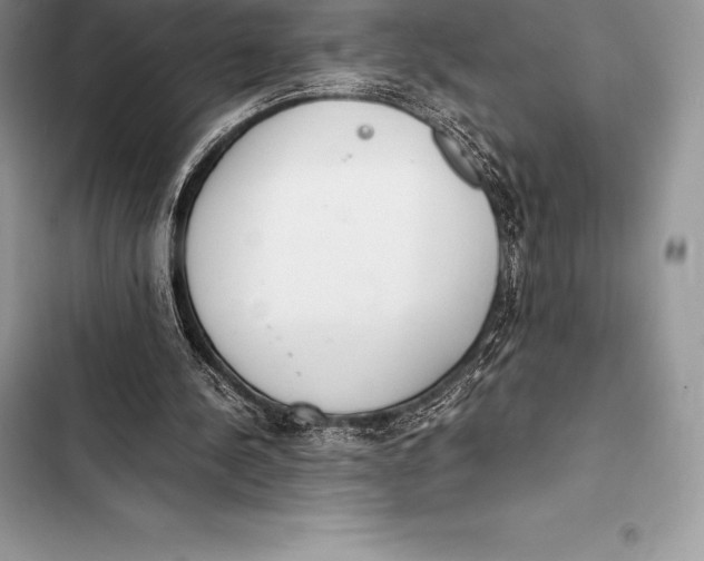 X0000103500244200810031634