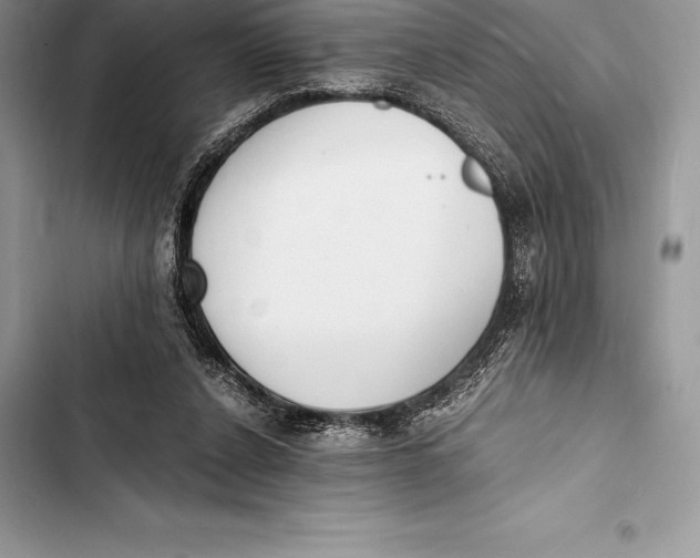 X0000103500256200810031634