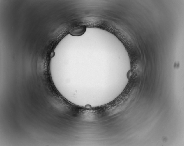 X0000103500268200810031634