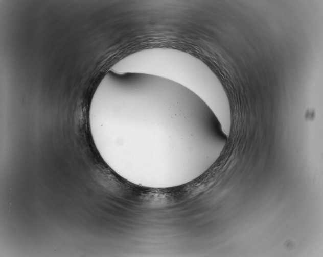 X0000103500276200810031635