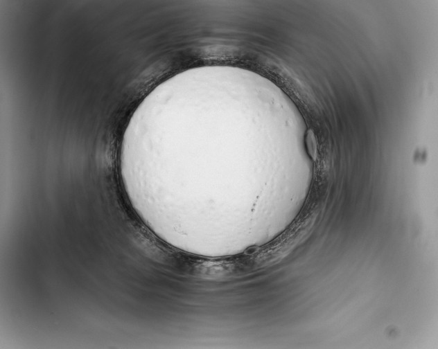 X0000103500277200810031635