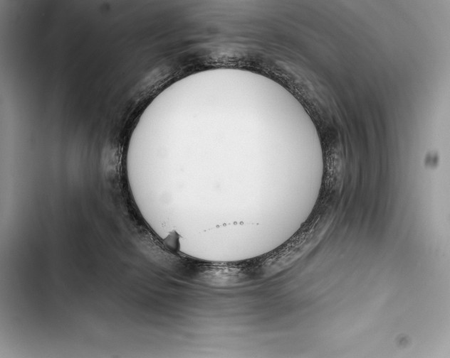 X0000103500278200810031635