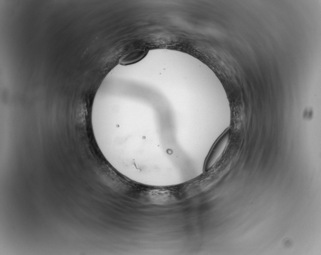 X0000103500279200810031635