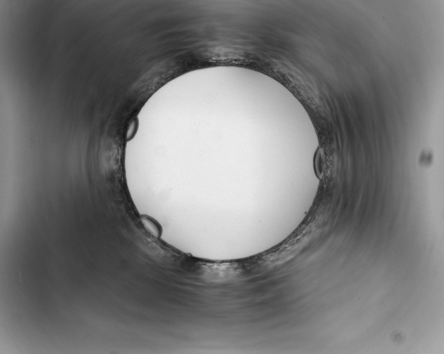 X0000103500281200810031635