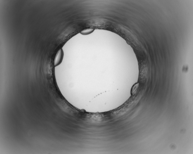 X0000103500282200810031635