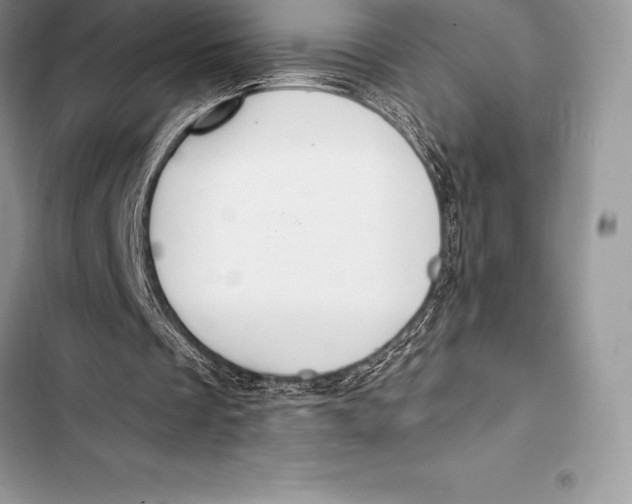 X0000103500289200810031634