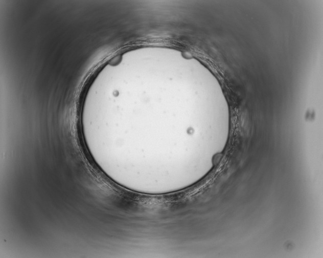 X0000103500293200810031634