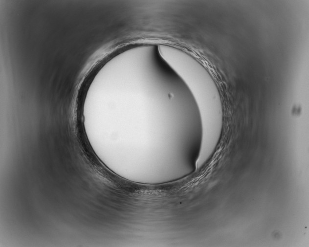 X0000103500296200810031634