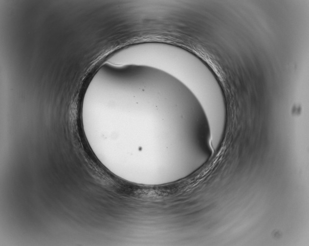 X0000103500297200810031634