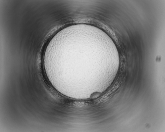 X0000103500298200810031634