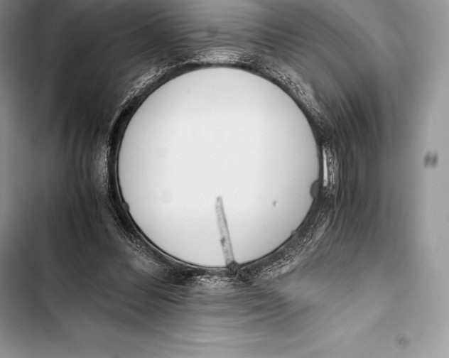 X0000103500300200810031634