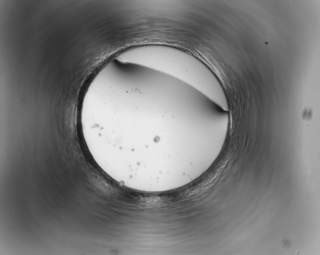 X0000103500301200810031634