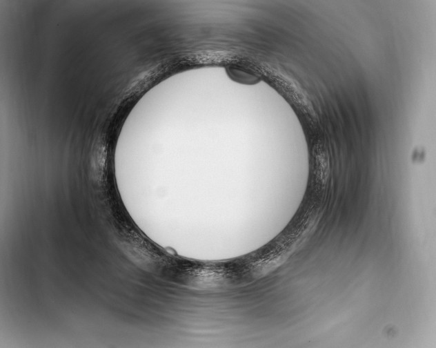 X0000103500308200810031634