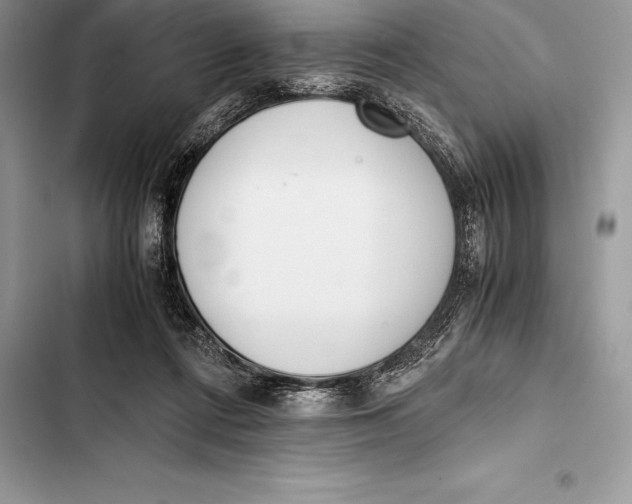 X0000103500312200810031634