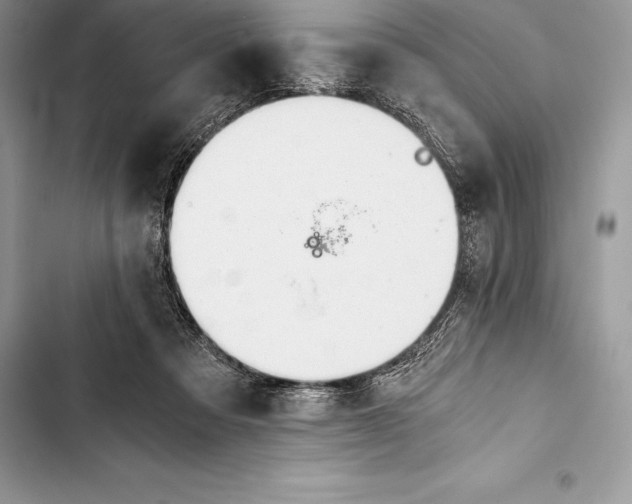 X0000103500313200810031634