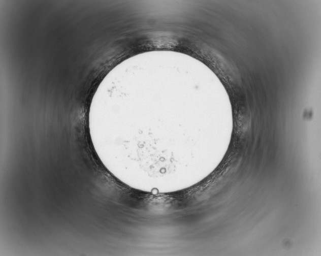 X0000103500321200810031634