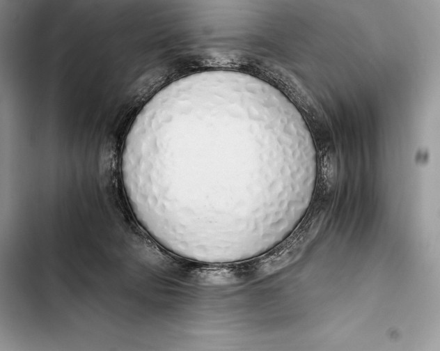 X0000103500322200810031634