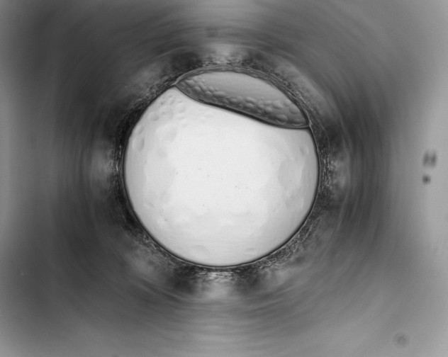 X0000103500324200810031634