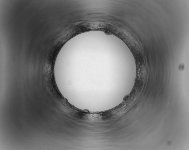 X0000103500327200810031634