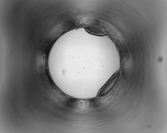 X0000103500328200810031634