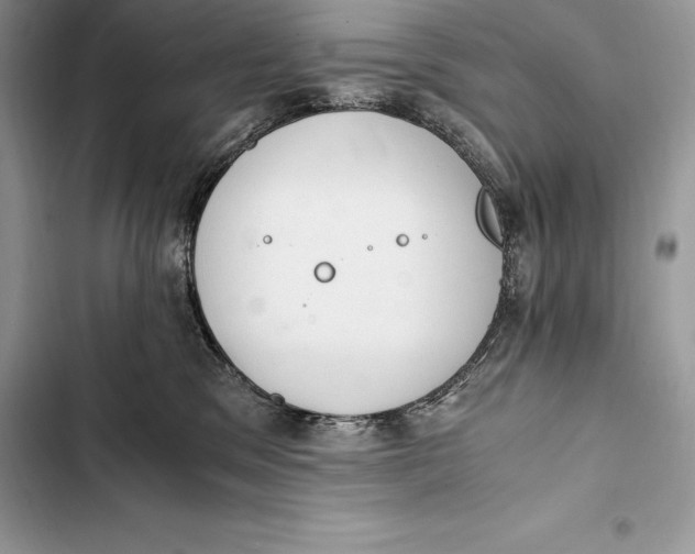 X0000103500329200810031633