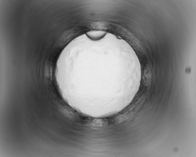 X0000103500330200810031633