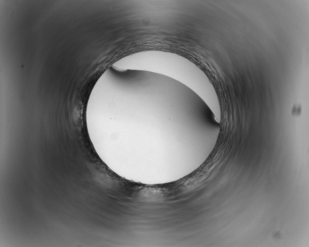 X0000103500332200810031633