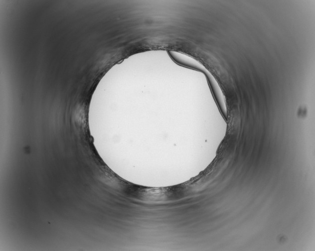 X0000103500335200810031633