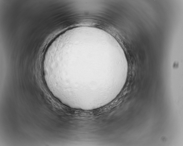 X0000103500337200810031633